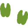 hoof-prints